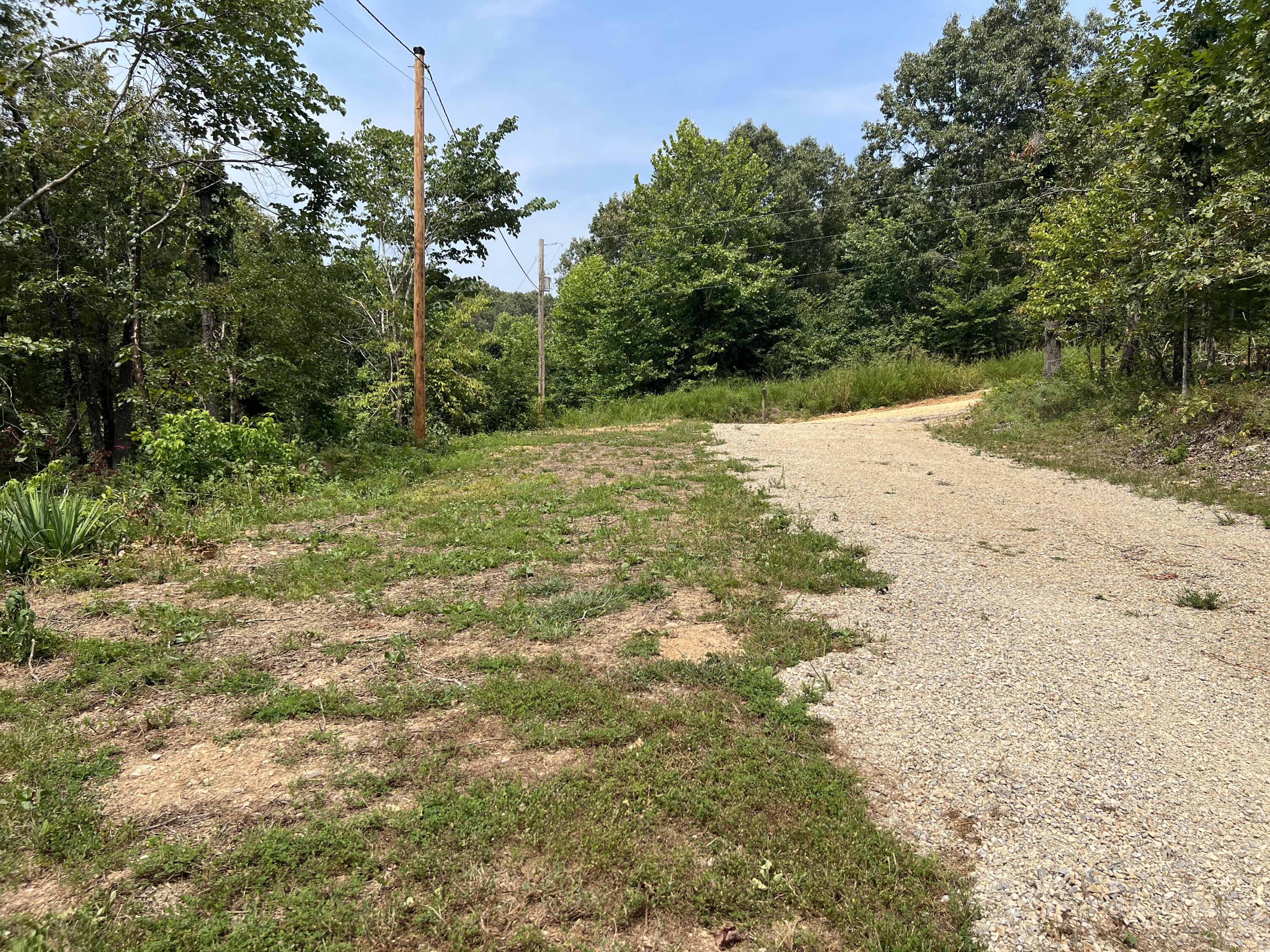 528 Black Oak 1