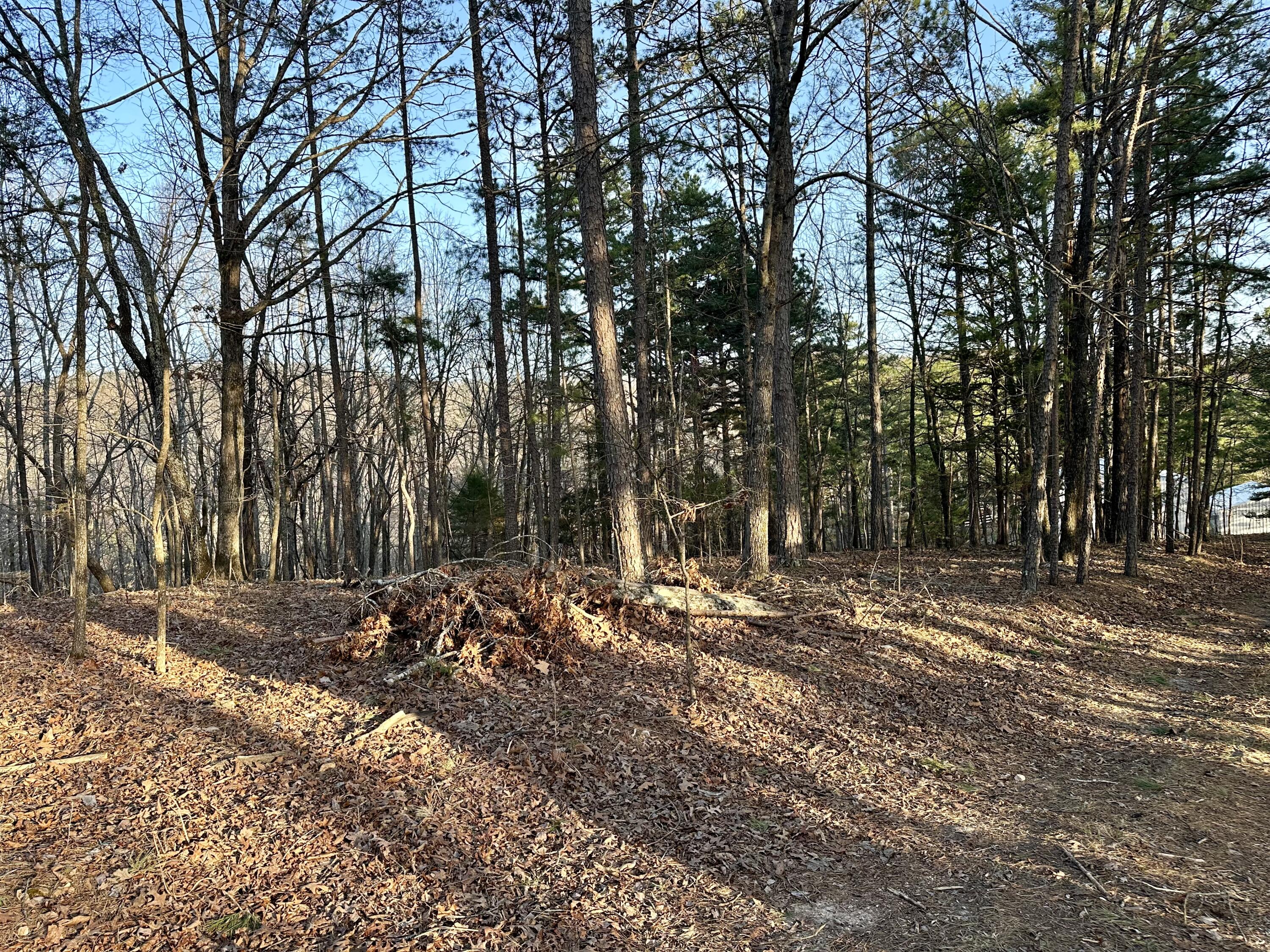 000 Brown Road Lot
