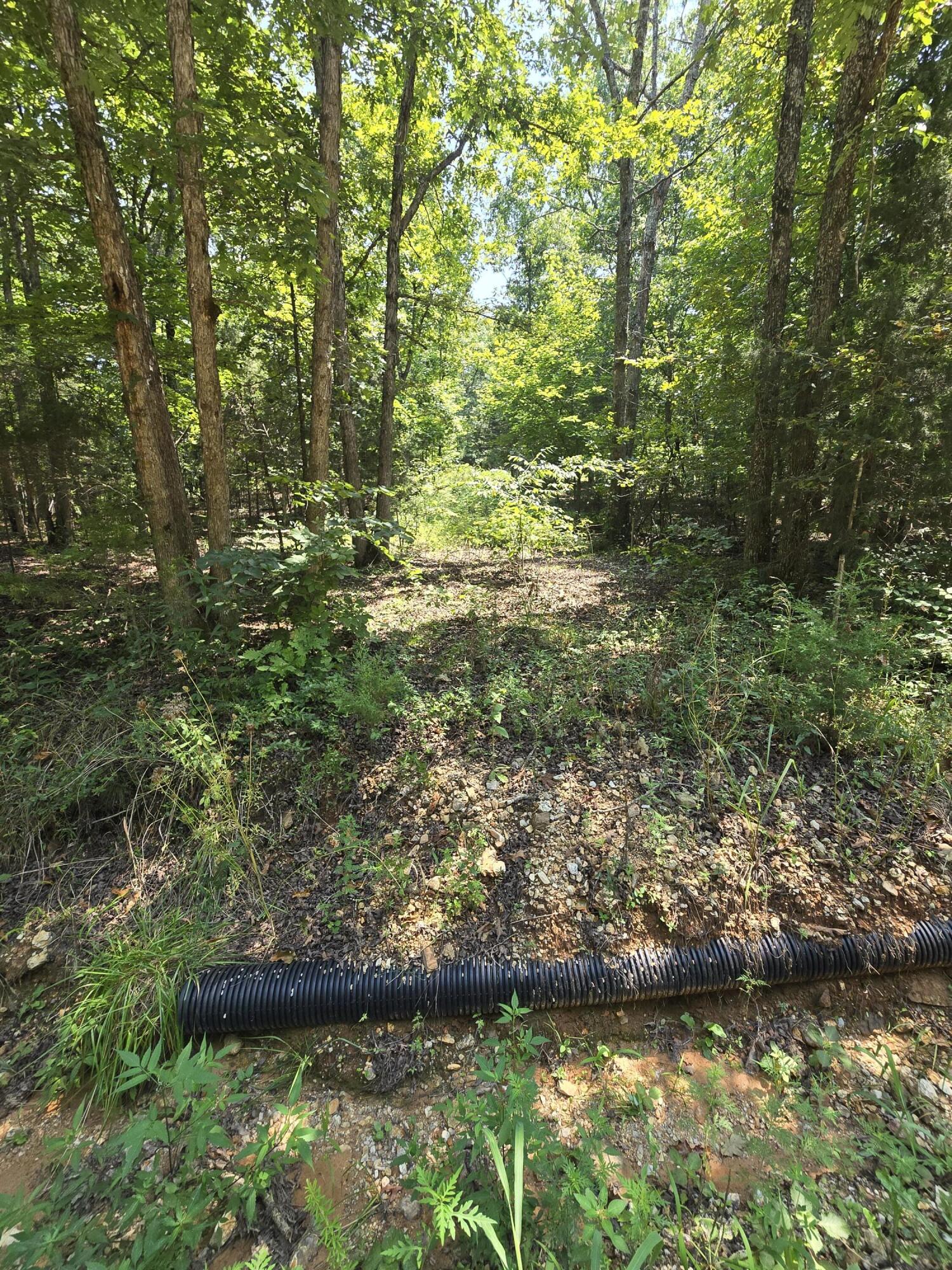 0001 County Road 421 1