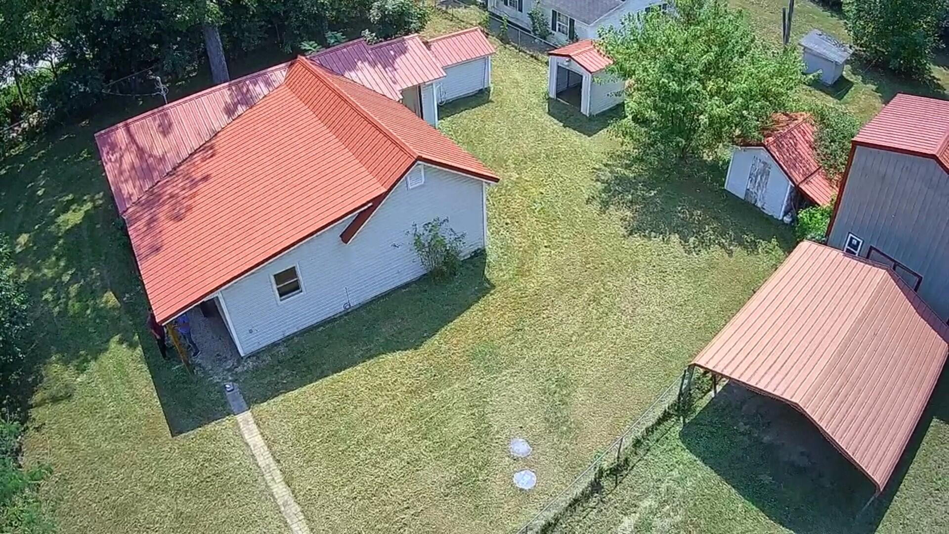 54 Tiny Pine 1
