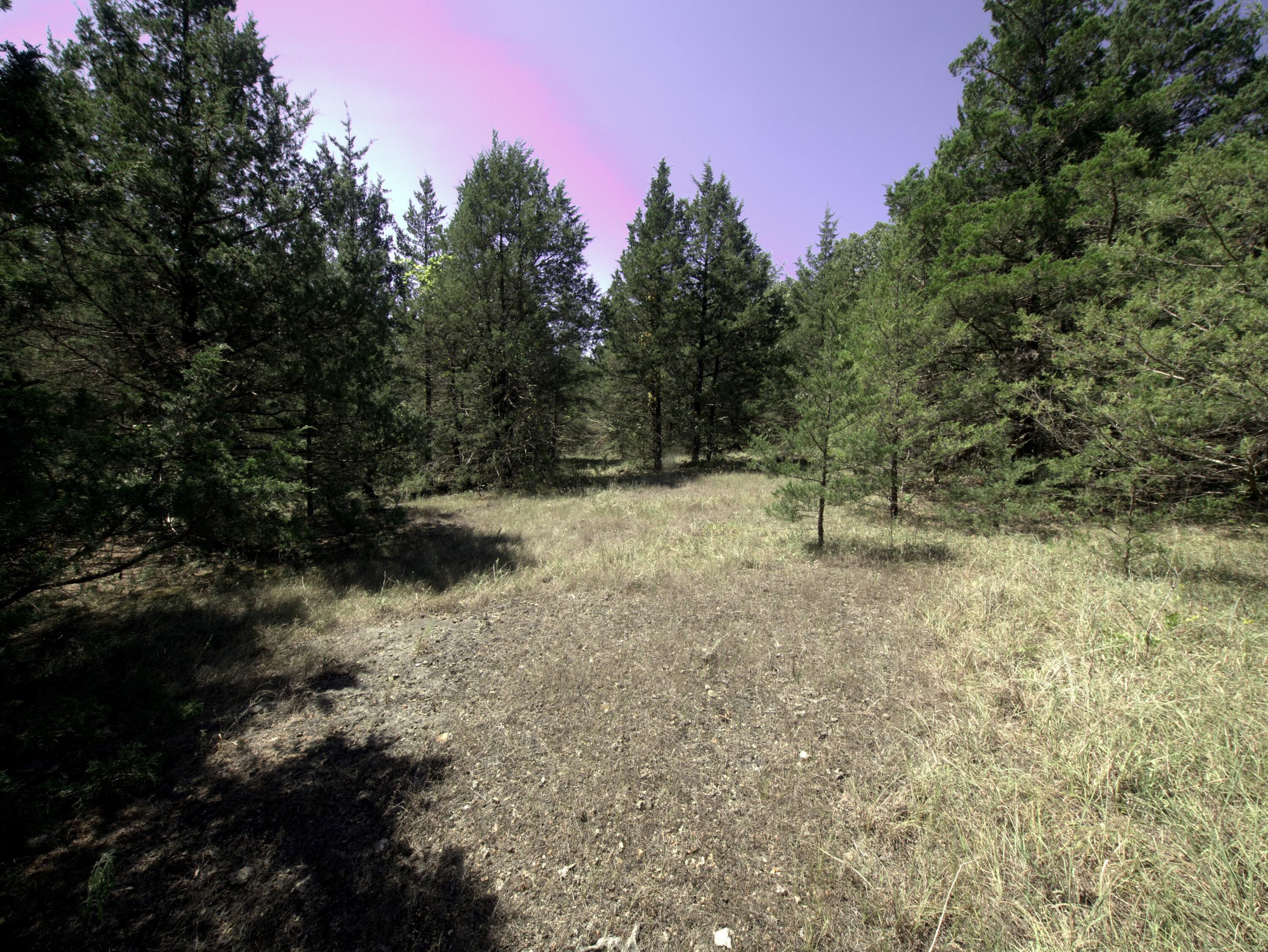 Tract 1 Simpson