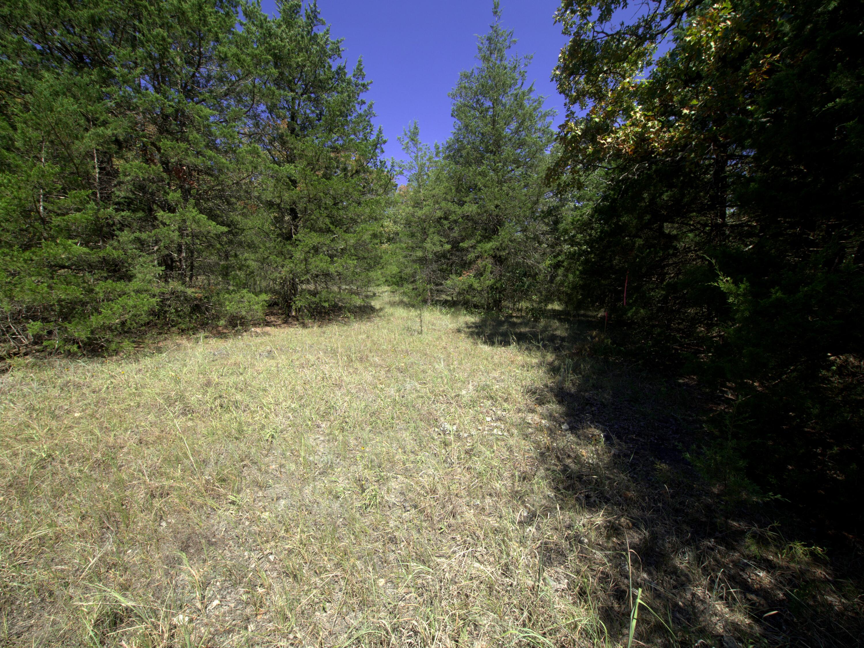 Tract 2 Simpson Rd