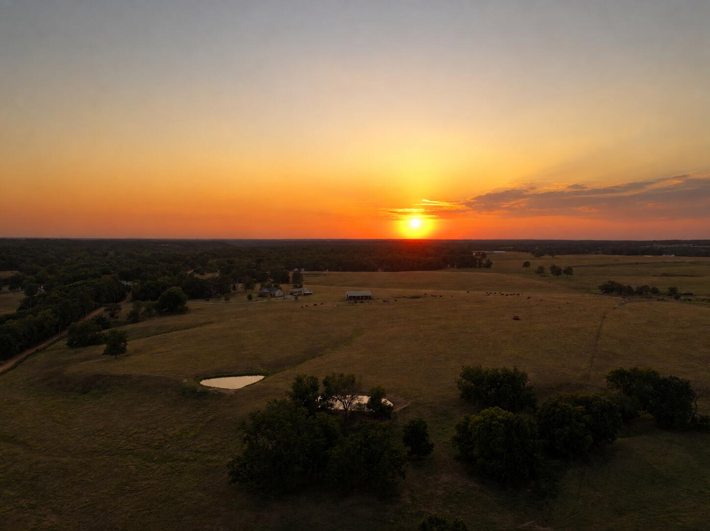 20ac Patterson Creek 1