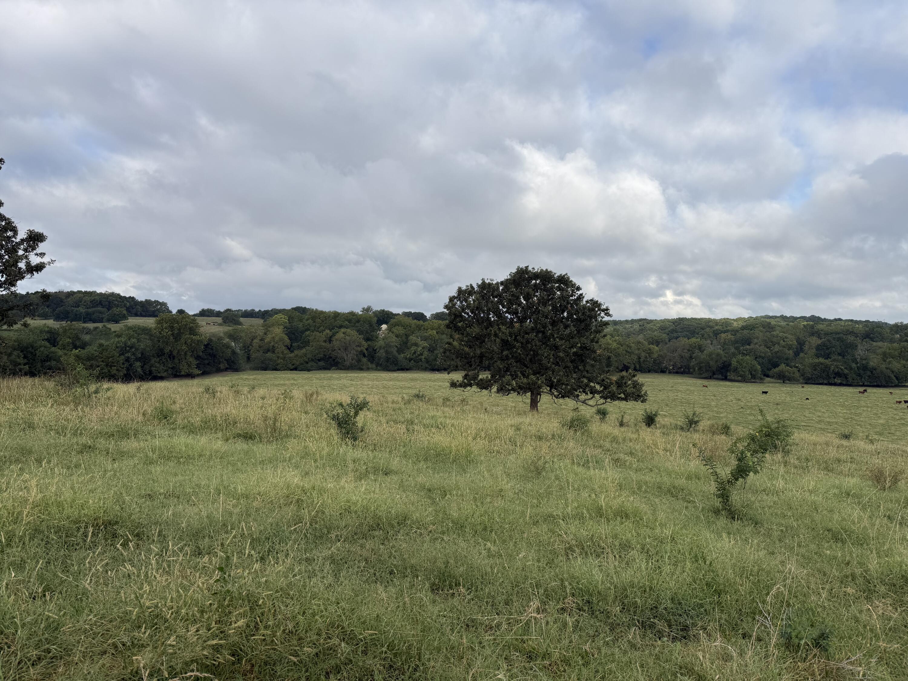 Tract 2 S Farm Road 55 1