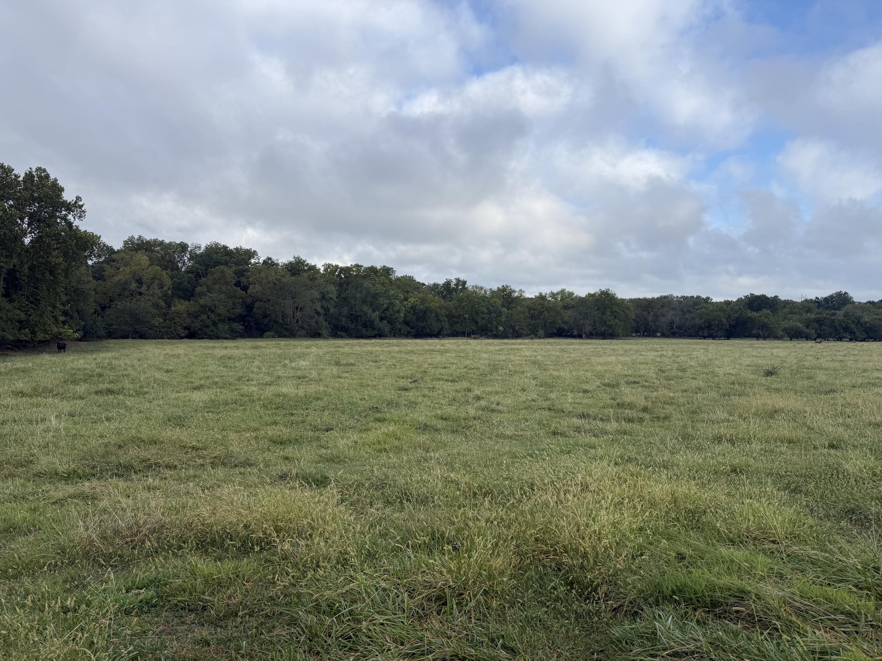 Tract 3 S Farm Road 55 1