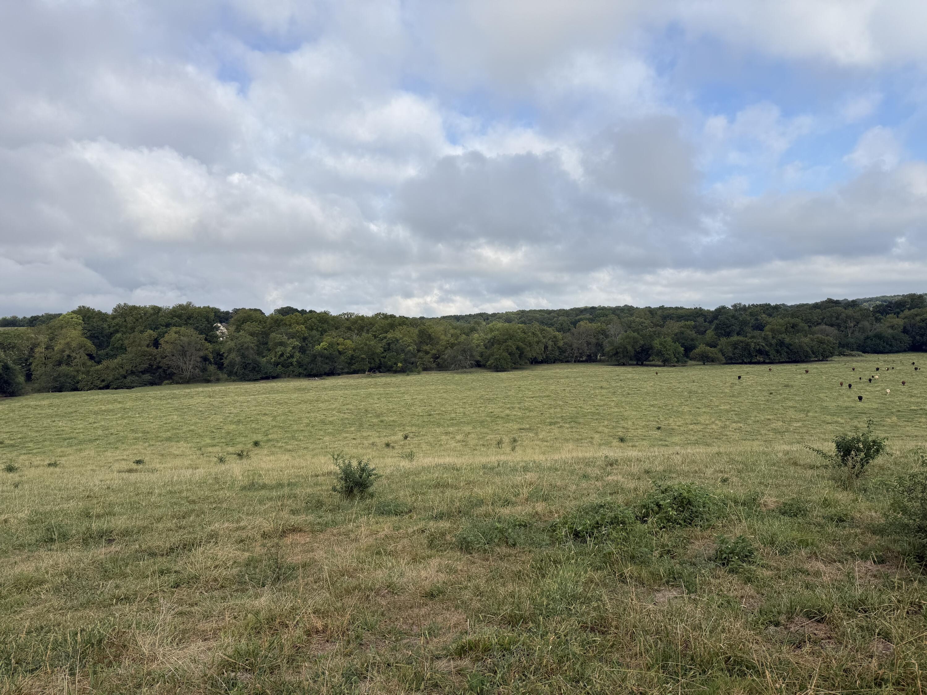 Tract 5 S Farm Road 55 1