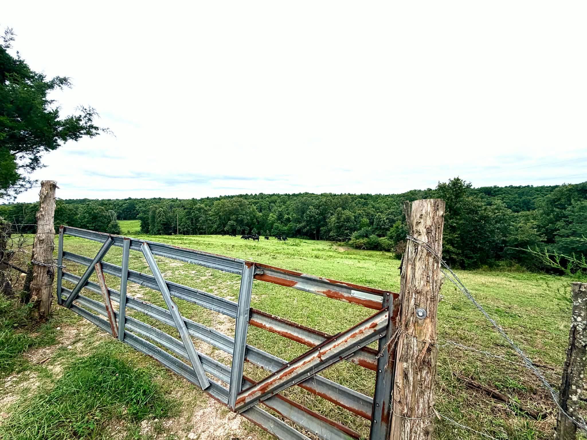 000 County Road 585