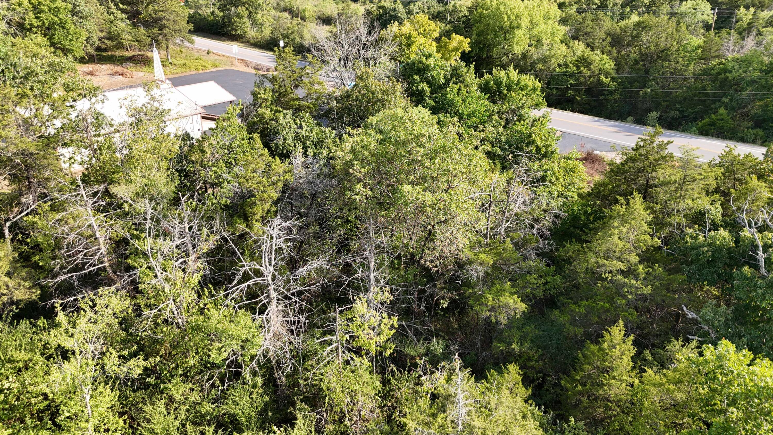 Lot 13 State Highway 86