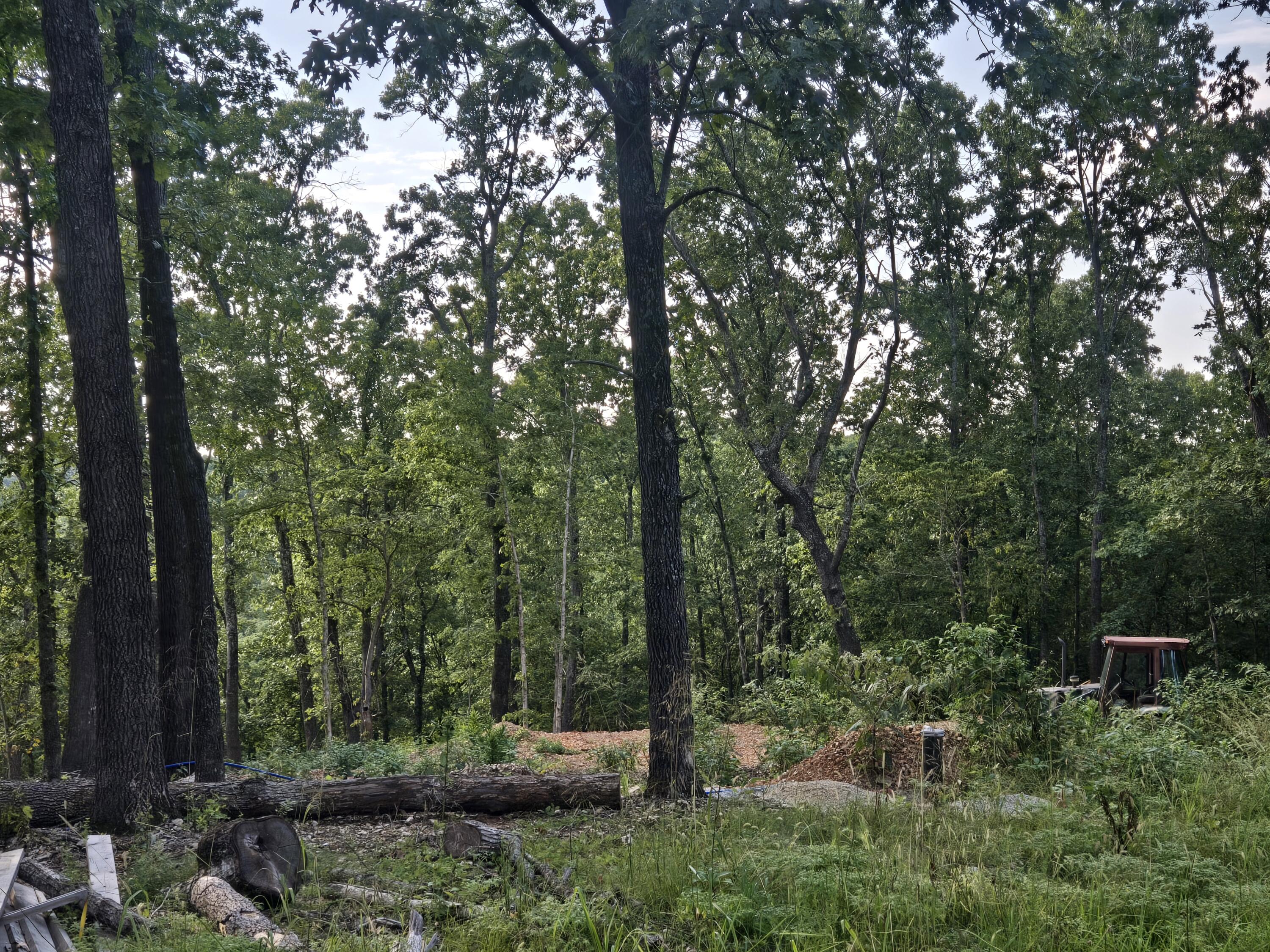 Lot 74, Jeffery Lane 1