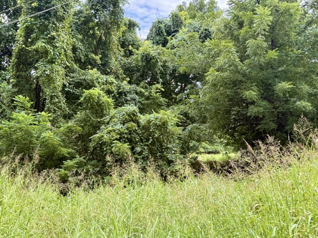 000 E Grand - 6.97 Acre M/L 1