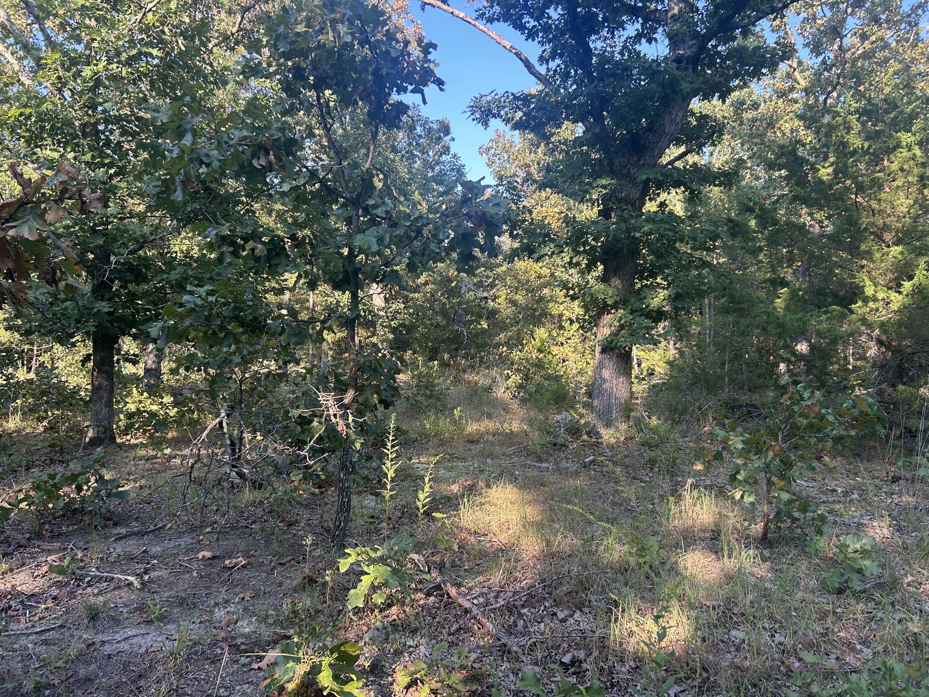 000 County Road 2340