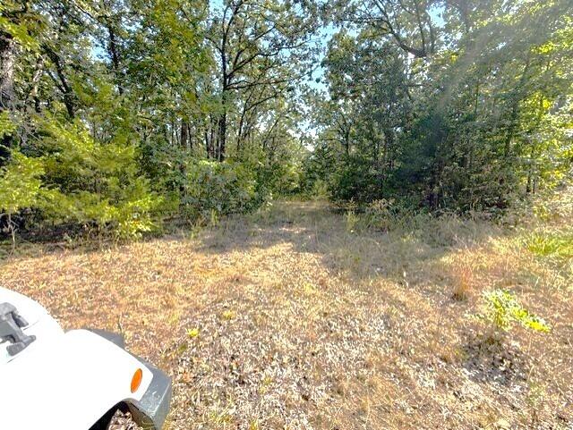 18886 Sugar Creek 1