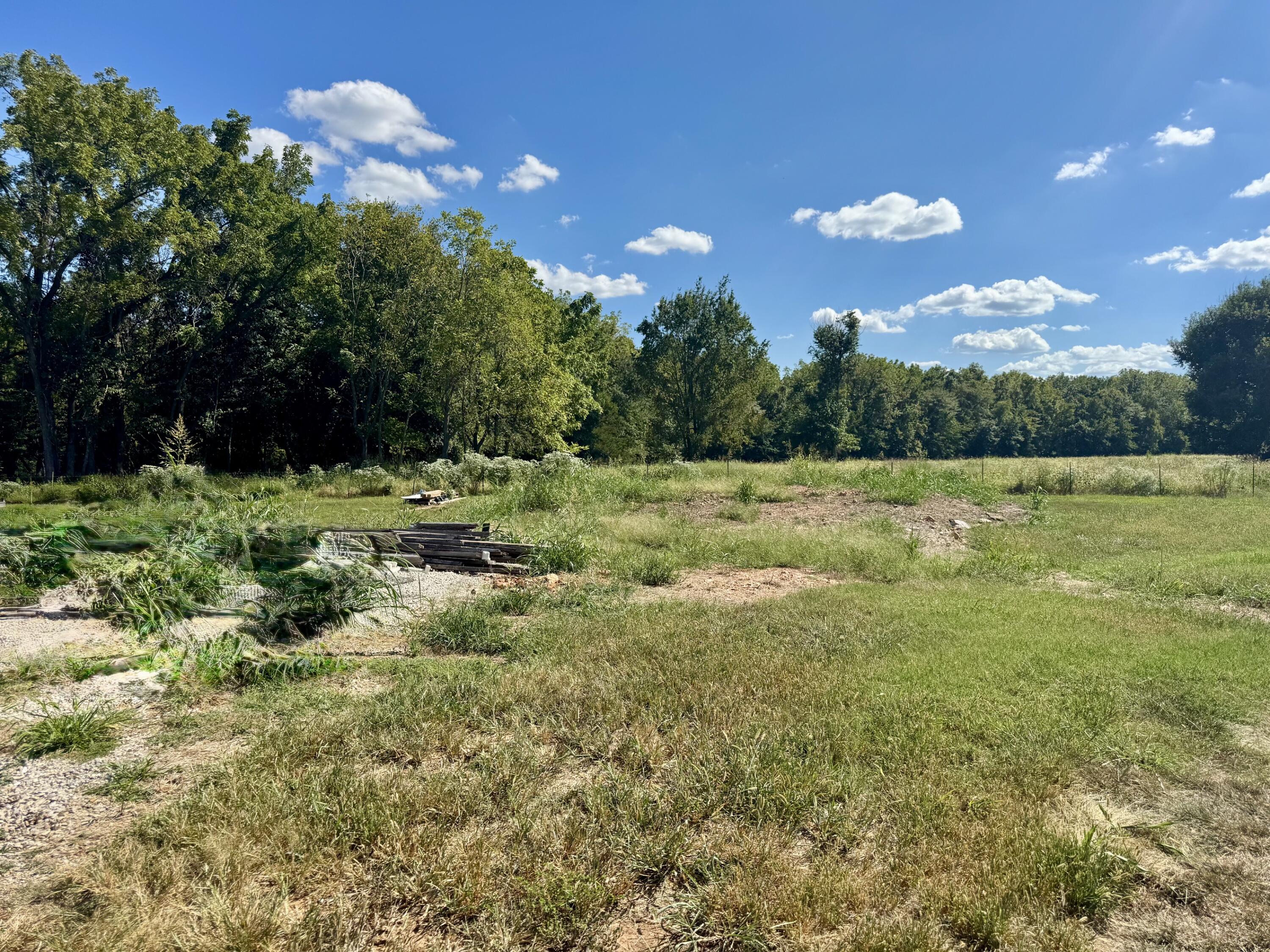 1902 N Vineyard 1