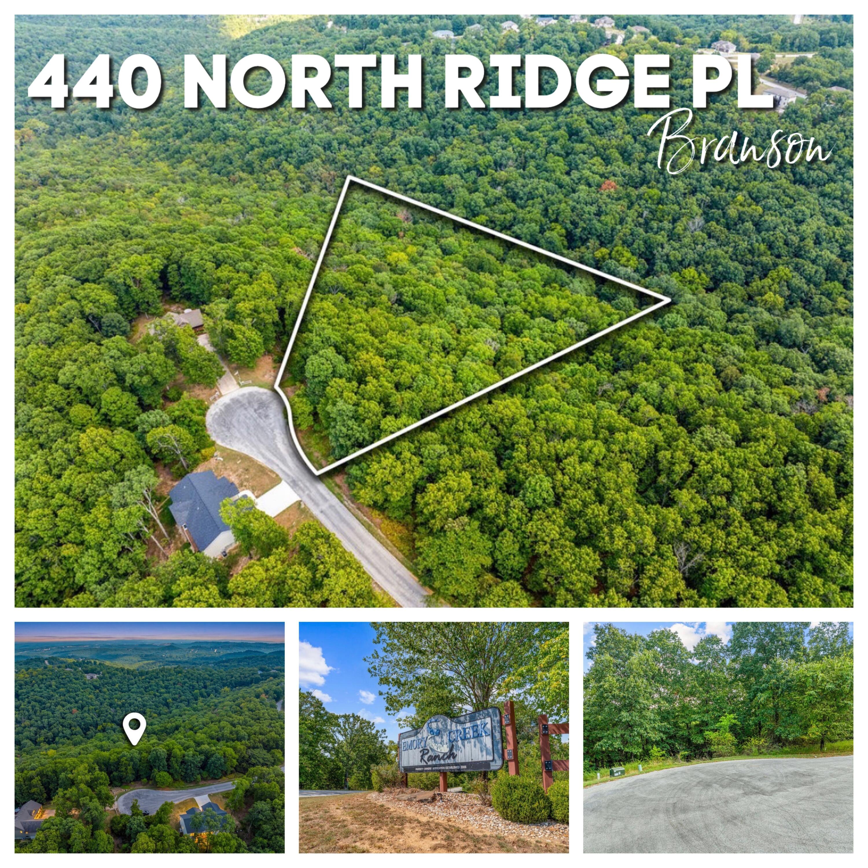 440 N Ridge 1