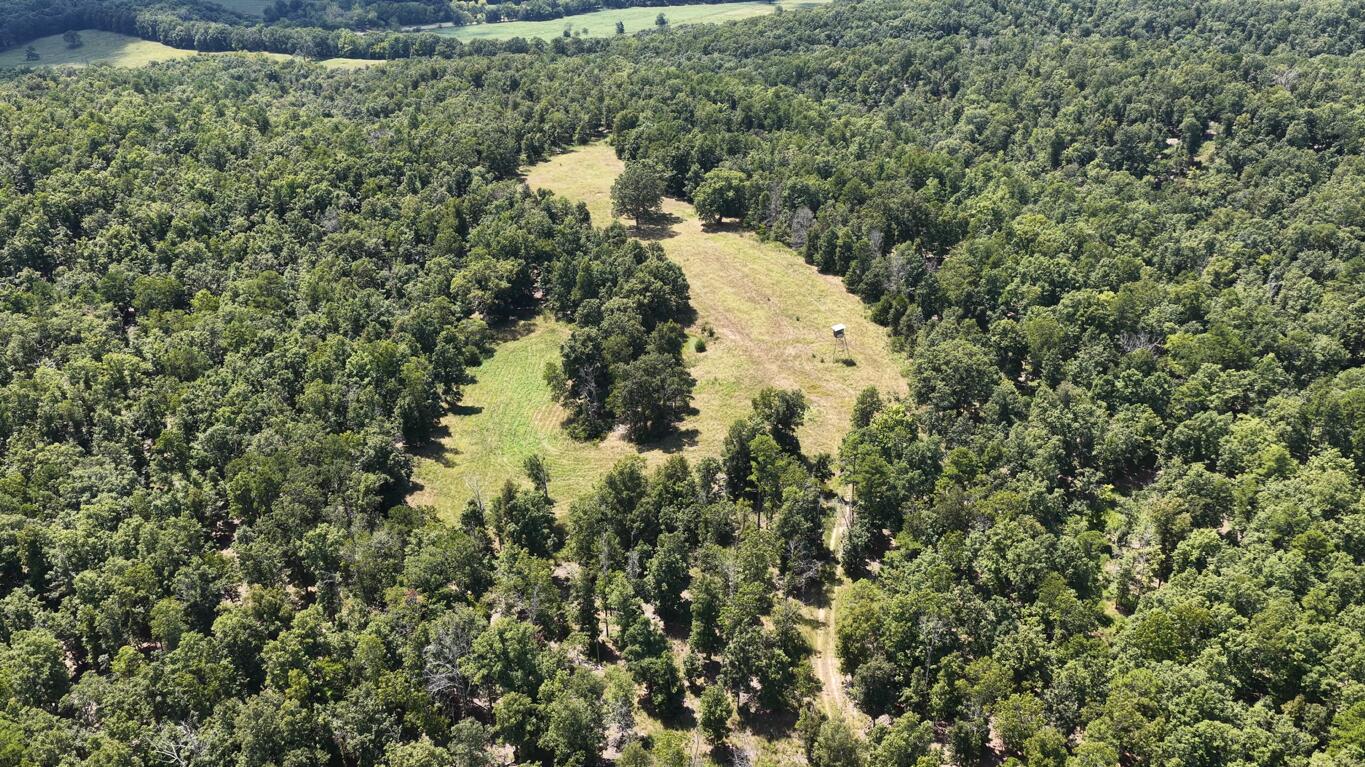 0000 County Road 422-17