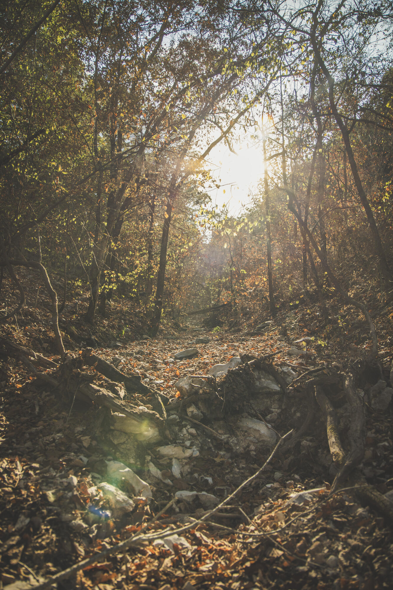 000 Boone Hollow Rd 1