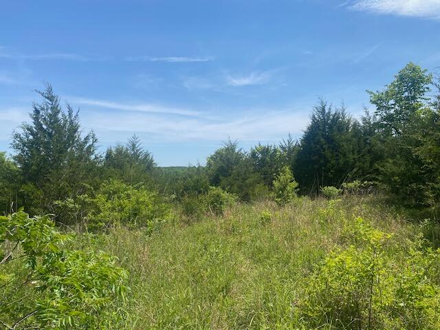 001 Flint Hollow Road 1