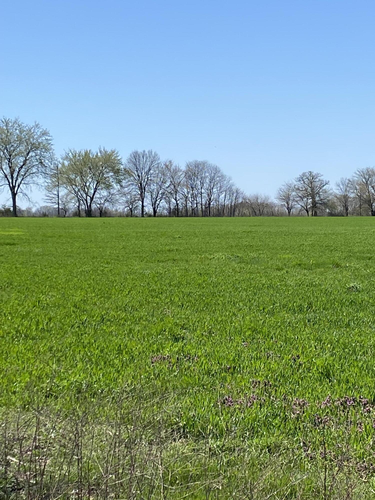 000 Farm Road 1090 1