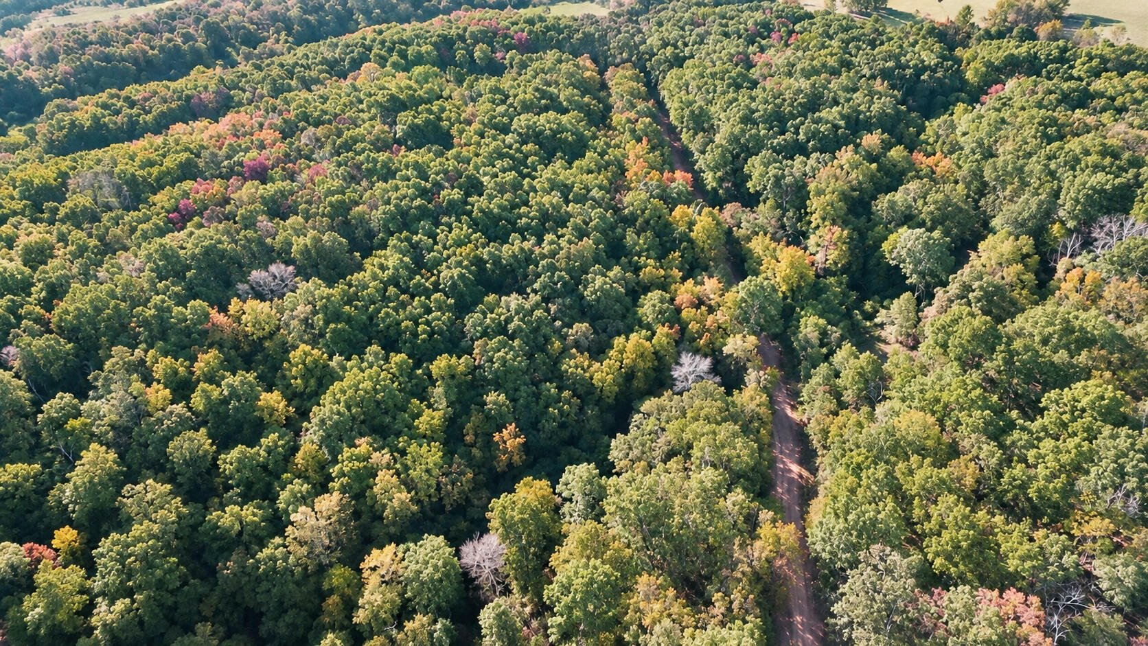 000 Elkhorn Road 3