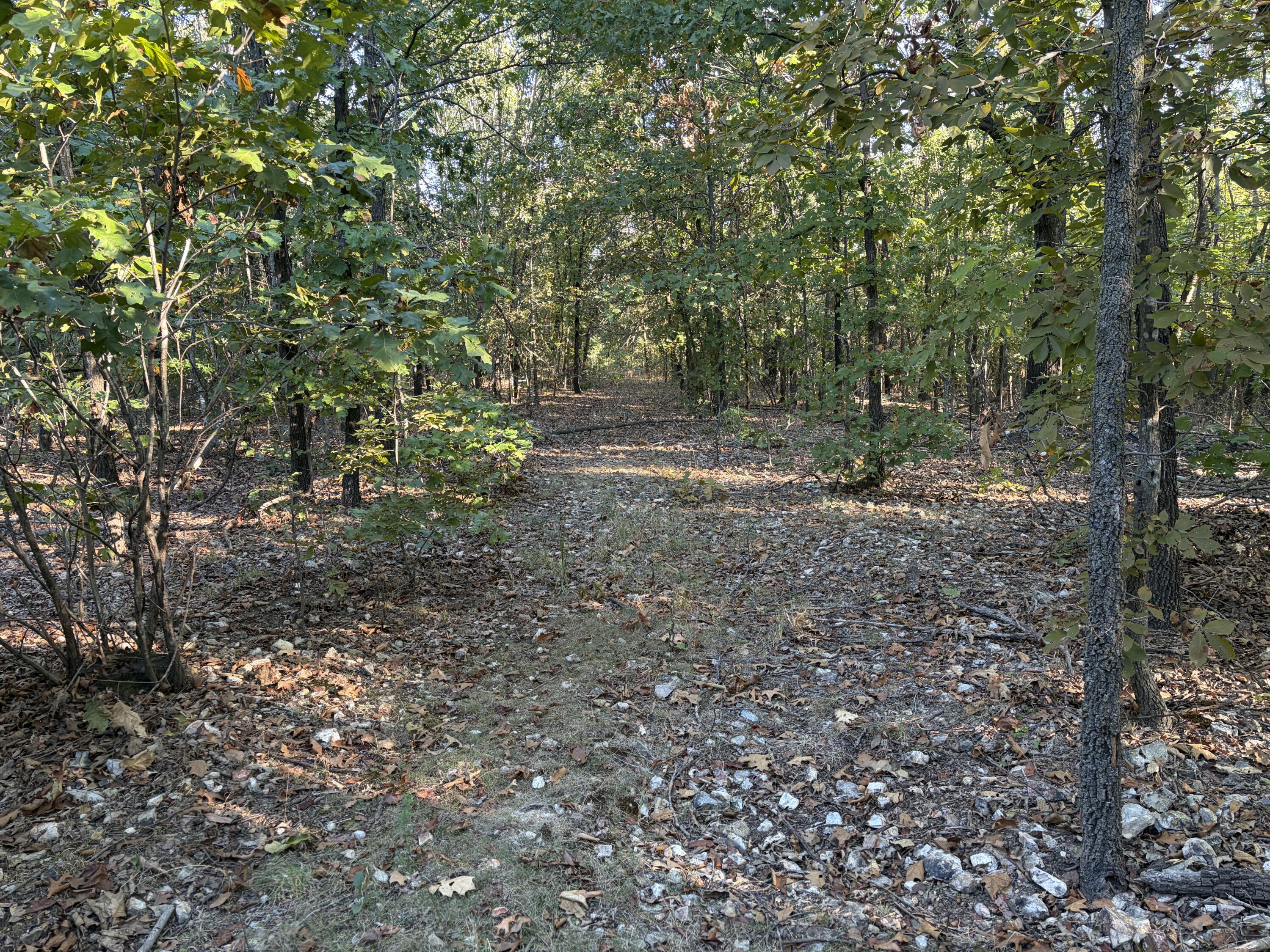 000 Elkhorn Road 4